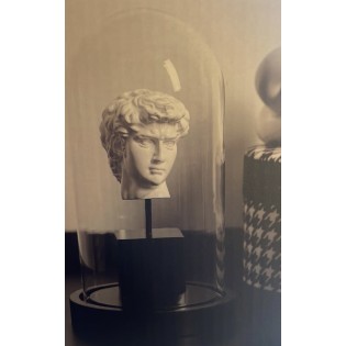 Figurine in a glass cover 